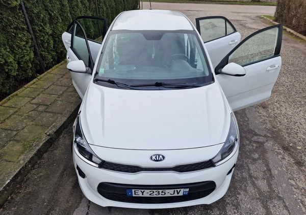 Kia Rio cena 25900 przebieg: 83635, rok produkcji 2018 z Knurów małe 781